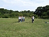 SANY0001.jpg