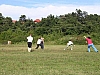 SANY0006.jpg