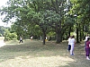 SANY1056.jpg