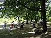 SANY1069.jpg