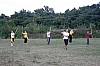 050.jpg