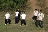 173.jpg