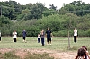 274.jpg
