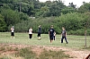 275.jpg