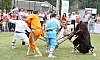 147.jpg