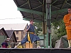 SANY0428.jpg