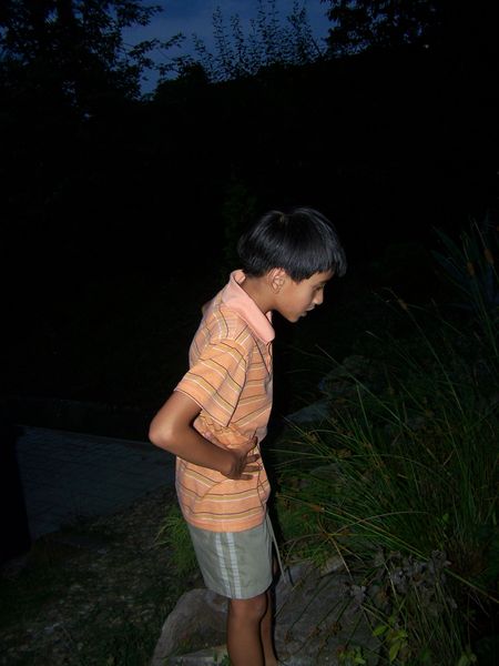 100_2462.JPG