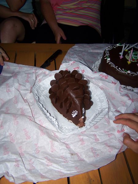 100_2468.JPG