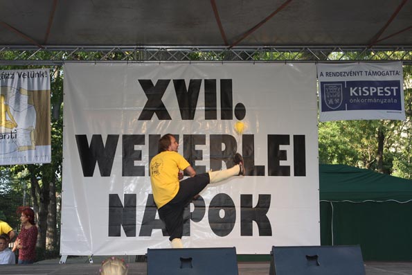 16.jpg