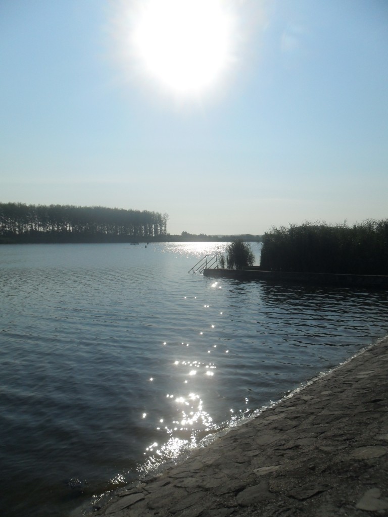 SAM_0828.jpg